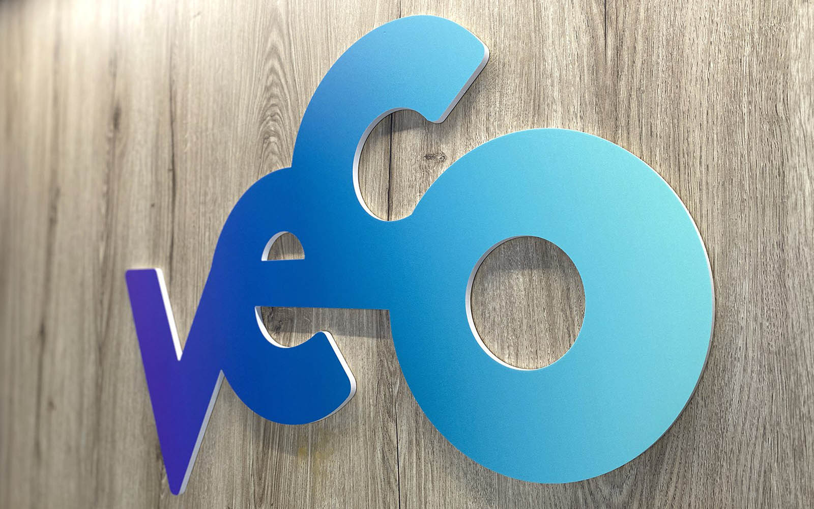 logo veco